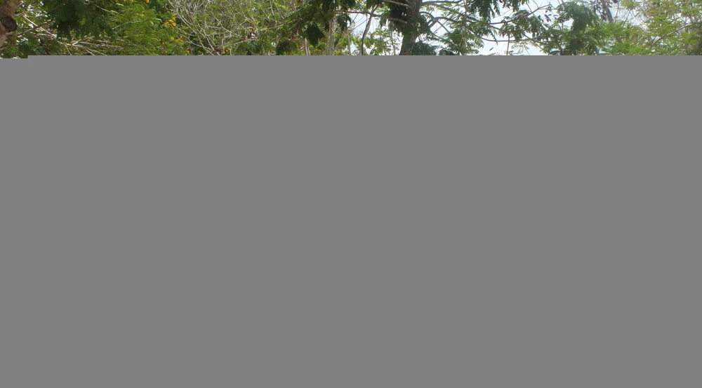 Một HS tiểu học tống tiền bạn cùng lớp ảnh 1